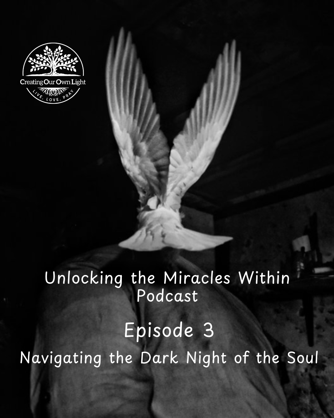 Navigating the Dark Night of the Soul